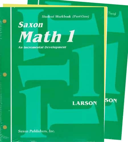 SAXON MATH 1 WORKBOOKS &AMP; FACT CARDS - (1ST ED)