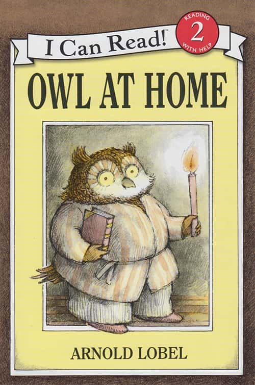 OWL AT HOME