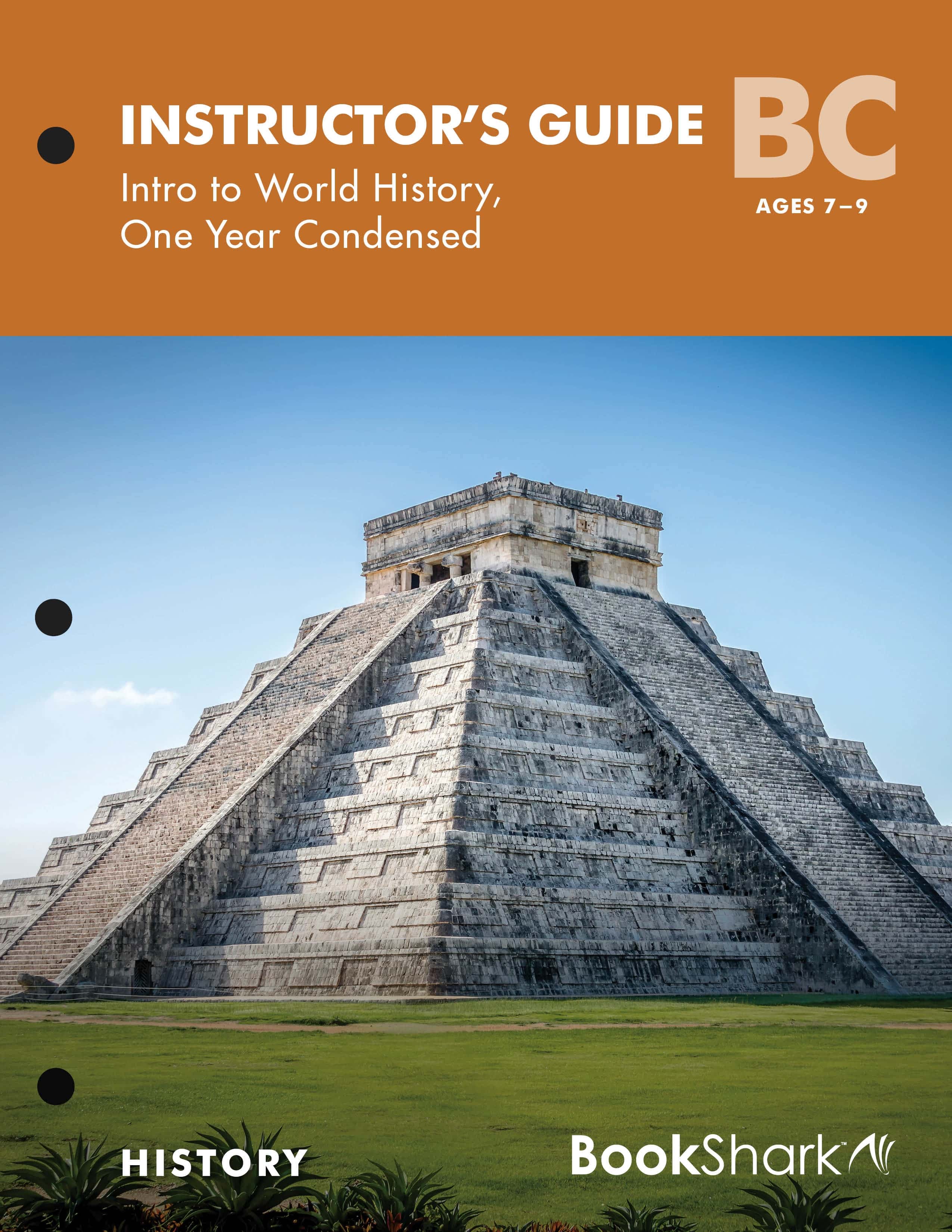 HISTORY B+C INSTRUCTOR'S GUIDE