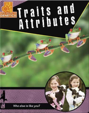 TRAITS AND ATTRIBUTES