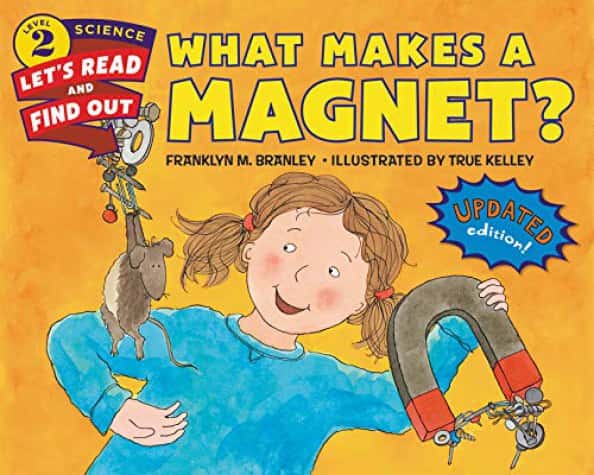 WHAT MAKES A MAGNET?
