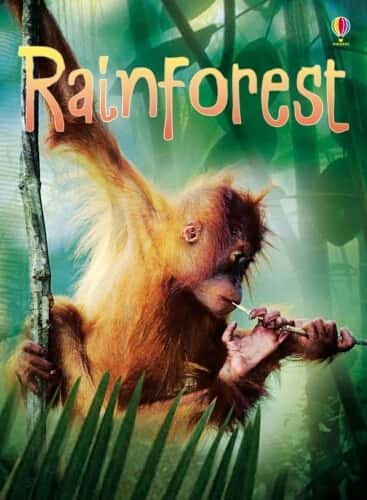 RAINFORESTS