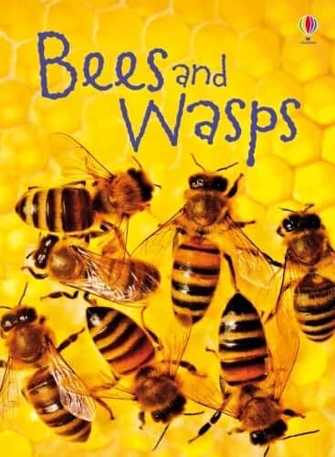 BEES AND WASPS