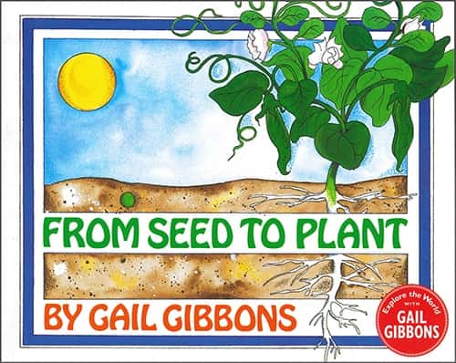FROM SEED TO PLANT