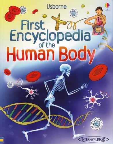 First Encyclopedia of the Human Body