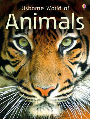 The Usborne World of Animals