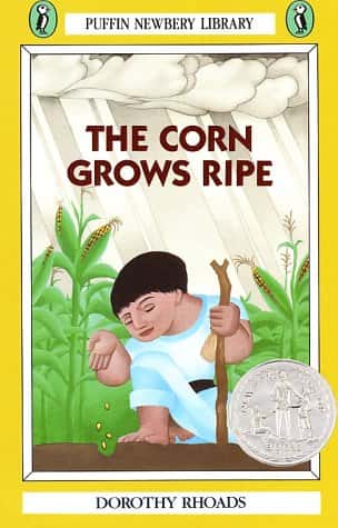 CORN GROWS RIPE