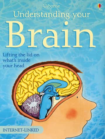 UNDERSTANDING YOUR BRAIN