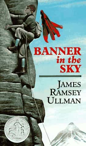 BANNER IN THE SKY