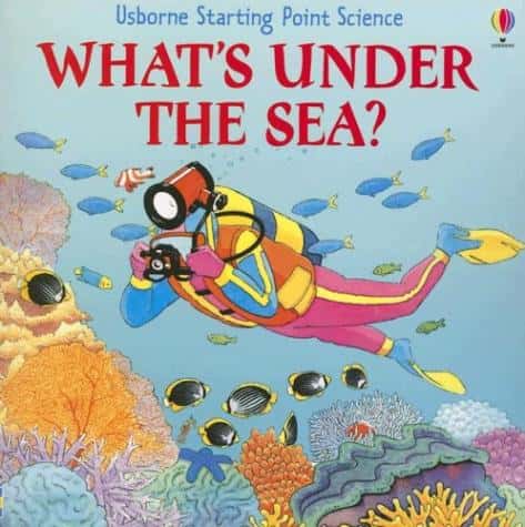 WHAT'S UNDER THE SEA?