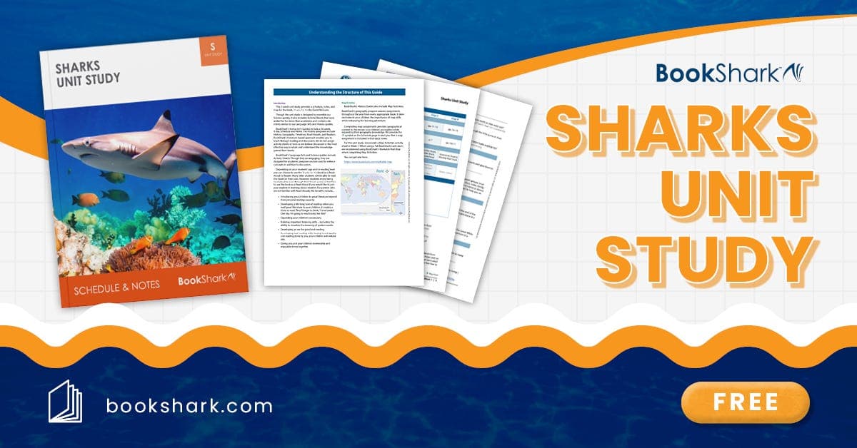 Sharks Unit Study