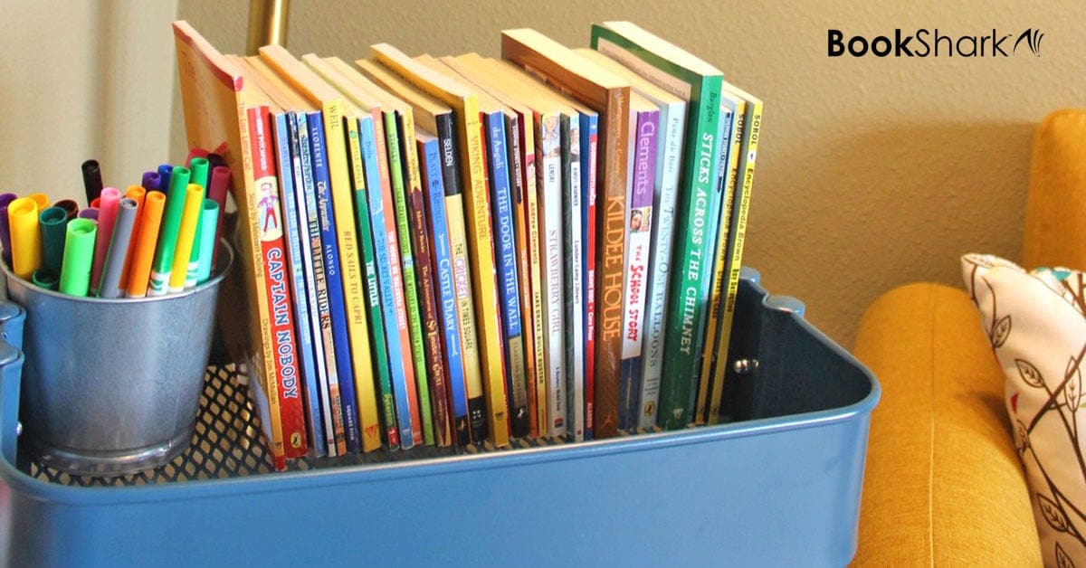 4 Ways to Handle Duplicate Books From Your BookShark Curriculum