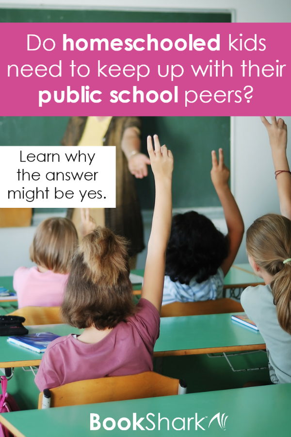 Do Homeschooled Kids Need to Keep Up with Their Public School Peers?