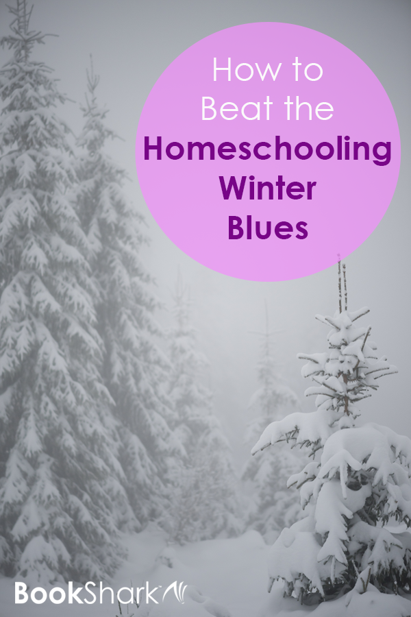 How to Beat the Homeschooling Winter Blues 