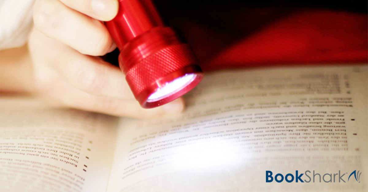 a red flashlight illuminates a book
