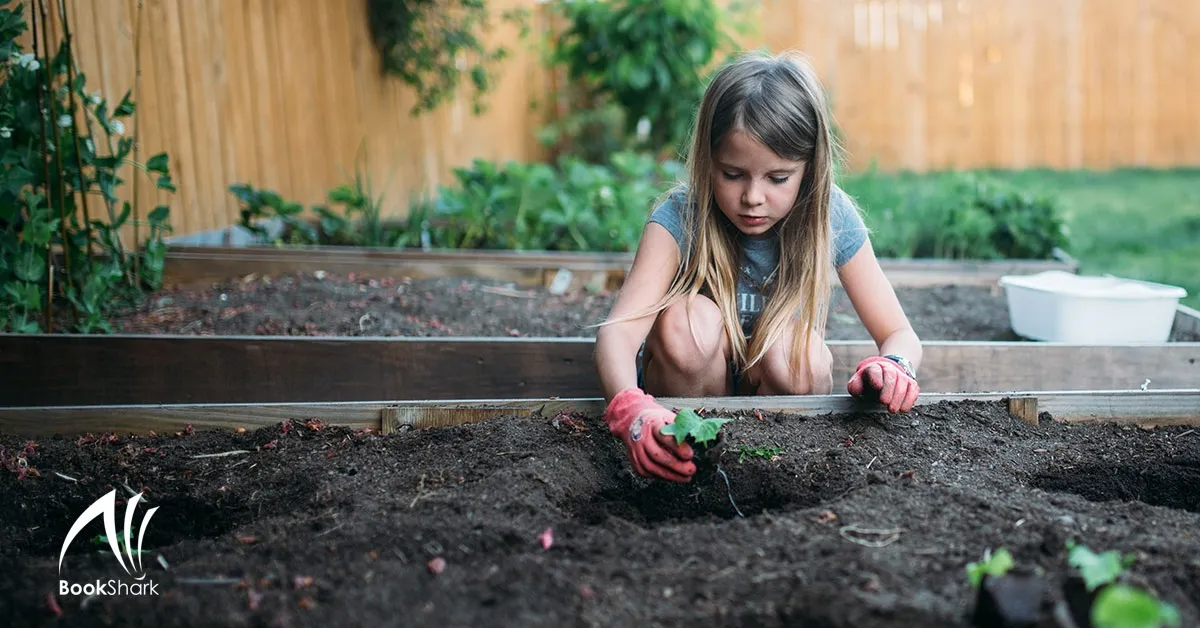 a girl wearing red garden gloves plants a seedling