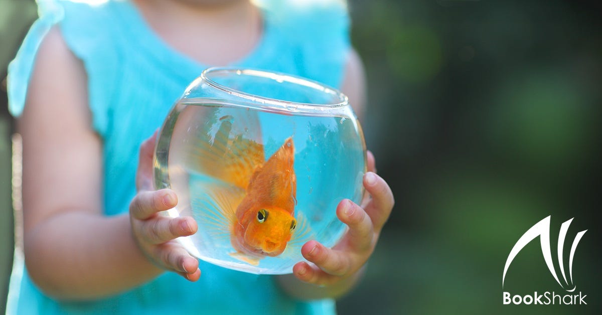 a girl dressed in a blue shirt holds a clear fishbowl with a vibrant orange goldfish