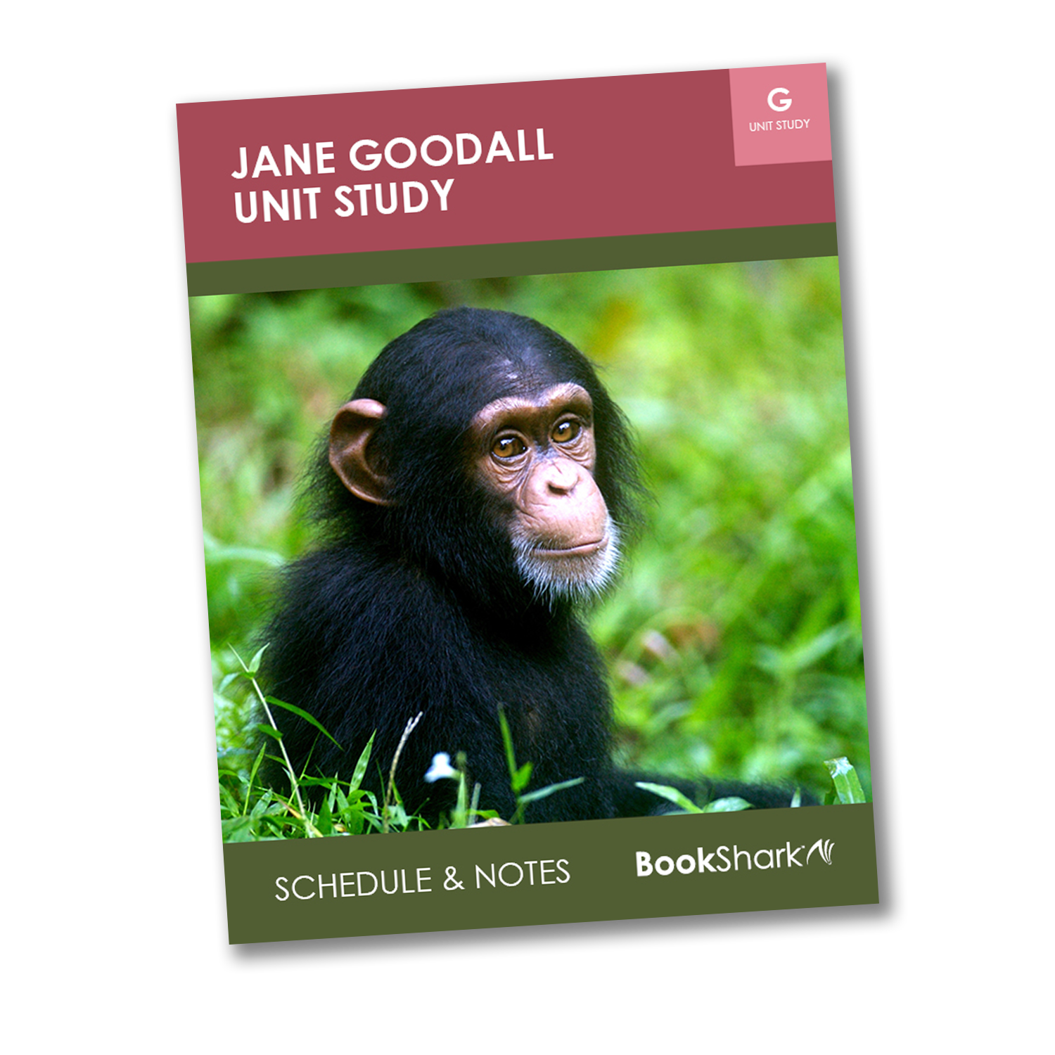 free Jane Goodall unit study from BookShark