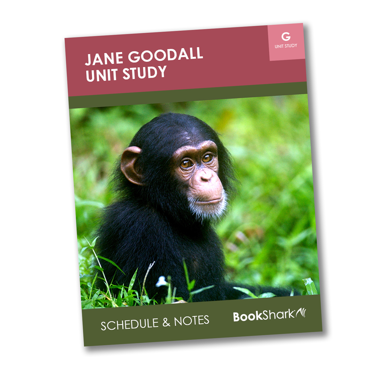 free Jane Goodall unit study from BookShark free Jane Goodall unit study from BookShark
